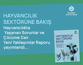 Hayvancılık Sektör Raporu