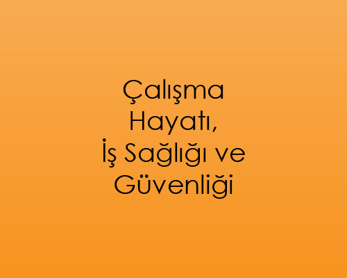 Çalışma Hayatı, İş Sağlığı ve Güvenliği