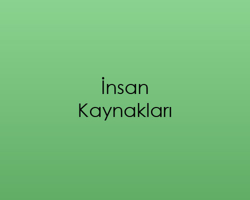 İnsan Kaynakları