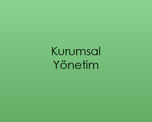 Kurumsal Yönetim